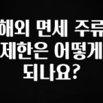 엄마아빠가 좋아하는 해외 면세 주류 제한은 어떻게 되나요? 지금 소개할게요