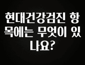 꼭 알아야하는 현대건강검진 항목에는 무엇이 있나요? 추천드릴게요