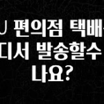 꼭 봐야하는 리스트 CU 편의점 택배는 어디서 발송할수 있나요? 확인하시죠