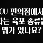“꼭”클릭해야하는 이유 CU 편의점에서 파는 육포 종류는 뭐가 있나요? 한 번에 알려드립니다