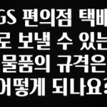 이렇게 달라졌다고? GS 편의점 택배로 보낼 수 있는 물품의 규격은 어떻게 되나요? 뜨거운 관심 감사합니다