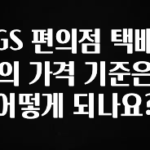 유튜브에서 난리난 정보 GS 편의점 택배의 가격 기준은 어떻게 되나요? 잠깐 확인해보세요