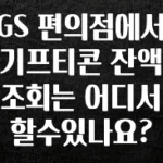 역대급 라인업 GS 편의점에서 기프티콘 잔액 조회는 어디서 할수있나요? 기억하세요
