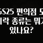 클릭필수 GS25 편의점 도시락 종류는 뭐가 있나요? 리뷰 해보겠습니다
