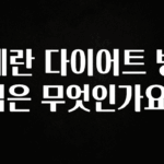 감사를 담은 계란 다이어트 방법은 무엇인가요? 실사용 후기