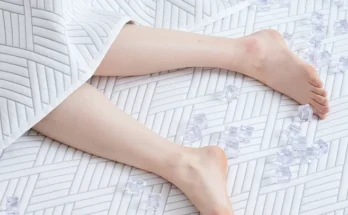 이것만 보고가기 냉감패드 요약정리