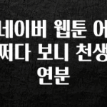 재구매율 1위 네이버 웹툰 어쩌다 보니 천생연분 한 번에 알려드립니다