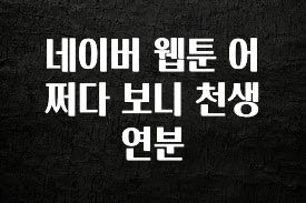 재구매율 1위 네이버 웹툰 어쩌다 보니 천생연분 한 번에 알려드립니다