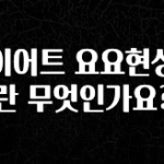 역.대.급 이벤트 다이어트 요요현상이란 무엇인가요? 확인해보세요