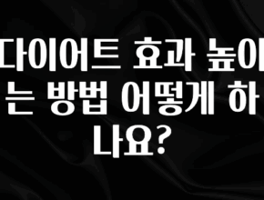 모두가 궁금해 했던 다이어트 효과 높이는 방법 어떻게 하나요? 추천한 이유입니다