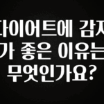 이정보美쳤다 다이어트에 감자가 좋은 이유는 무엇인가요? 정직하게 소개해보겠습니다