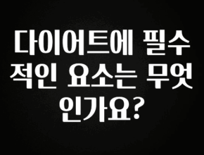 무조건 이득인 다이어트에 필수적인 요소는 무엇인가요? 추천한 이유입니다