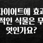 최저가만 선정 다이어트에 효과적인 식물은 무엇인가요? 바로 클릭
