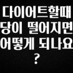 실시간 반응 터진 다이어트할때 당이 떨어지면 어떻게 되나요? 군말없이 소개합니다