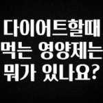찐추천 이유 다이어트할때 먹는 영양제는 뭐가 있나요? 아쉬움이 없습니다