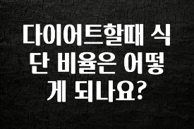 인플루언서가 공개한 다이어트할때 식단 비율은 어떻게 되나요? 궁금하신가요?