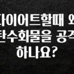 모두가 궁금해 했던 다이어트할때 왜 탄수화물을 공격하나요? 핫한 정보입니다