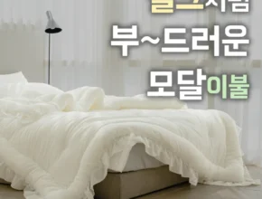 놓치지말고 모달이불 큰일 났다