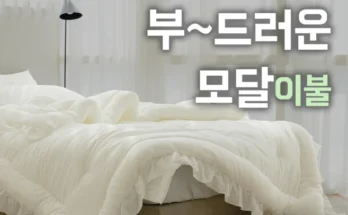 놓치지말고 모달이불 큰일 났다