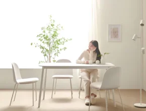 이거 “꼭” 기억하자 보니애가구 요약정리