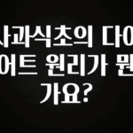 “후기” 꼭보세요 사과식초의 다이어트 원리가 뭔가요? 핫한 정보입니다