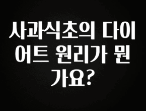 “후기” 꼭보세요 사과식초의 다이어트 원리가 뭔가요? 핫한 정보입니다