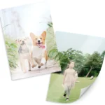 검색량 증가한 사진인화 관심이 뜨거운 이유 입니다