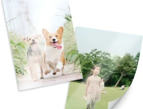 검색량 증가한 사진인화 관심이 뜨거운 이유 입니다