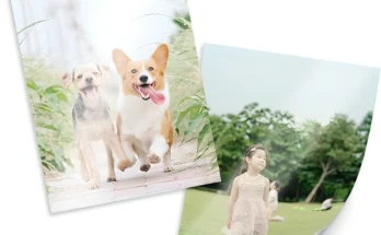 검색량 증가한 사진인화 관심이 뜨거운 이유 입니다