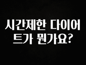 베스트 시간제한 다이어트가 뭔가요? 요약본만 확인해보세요