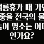 당장 친구에게 알려야 할 여름휴가 때 가면 좋을 전국의 물놀이 명소는 어디인가요? 확인해보세요