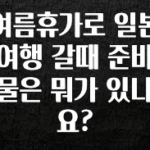 간단뉴스 여름휴가로 일본여행 갈때 준비물은 뭐가 있나요? 추천드릴게요