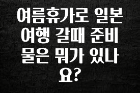 간단뉴스 여름휴가로 일본여행 갈때 준비물은 뭐가 있나요? 추천드릴게요