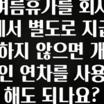 진심이 담긴 여름휴가를 회사에서 별도로 지급하지 않으면 개인 연차를 사용해도 되나요? 1분이면 확인가능 합니다