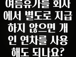진심이 담긴 여름휴가를 회사에서 별도로 지급하지 않으면 개인 연차를 사용해도 되나요? 1분이면 확인가능 합니다