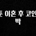 인스타 정보 웹툰 이혼 후 코인 대박 실간 리뷰