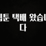 진심이 담긴 웹툰 택배 왔습니다 전해드립니다