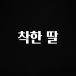 지금 당장 확인해야하는 이유 착한 딸 정직하게 소개해보겠습니다