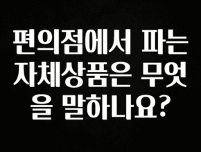 인기좋은 이유 편의점에서 파는 자체상품은 무엇을 말하나요? 실간 리뷰
