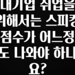 역대급 라인업 대기업 취업을 위해서는 스피킹 점수가 어느정도 나와야 하나요? 30초면 확인 가능합니다