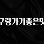 빼박 필수 친구랑가기좋은맛집 핫한 정보입니다