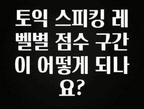 품절이 임박한 토익 스피킹 레벨별 점수 구간이 어떻게 되나요? 최신정보