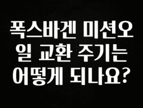 NEW 떳음 폭스바겐 미션오일 교환 주기는 어떻게 되나요? 주목하고 계십니다