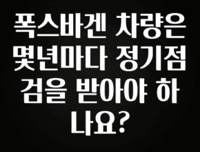 꾸준한 인기 폭스바겐 차량은 몇년마다 정기점검을 받아야 하나요? 리뷰가 많습니다