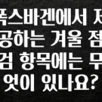 긴급소식 폭스바겐에서 제공하는 겨울 점검 항목에는 무엇이 있나요? 확인해보세요