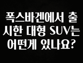 찐친이랑 확인하세요 폭스바겐에서 출시한 대형 SUV는 어떤게 있나요? 알짜배기만 골라가세요