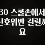 인기좋은 이유 30 스쿨존에서 신호위반 걸릴까요 실간 리뷰