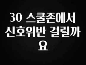 인기좋은 이유 30 스쿨존에서 신호위반 걸릴까요 실간 리뷰