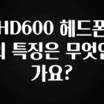 꼭 써야하는 HD600 헤드폰의 특징은 무엇인가요? 꼭 확인해보세요
