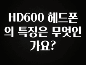 꼭 써야하는 HD600 헤드폰의 특징은 무엇인가요? 꼭 확인해보세요